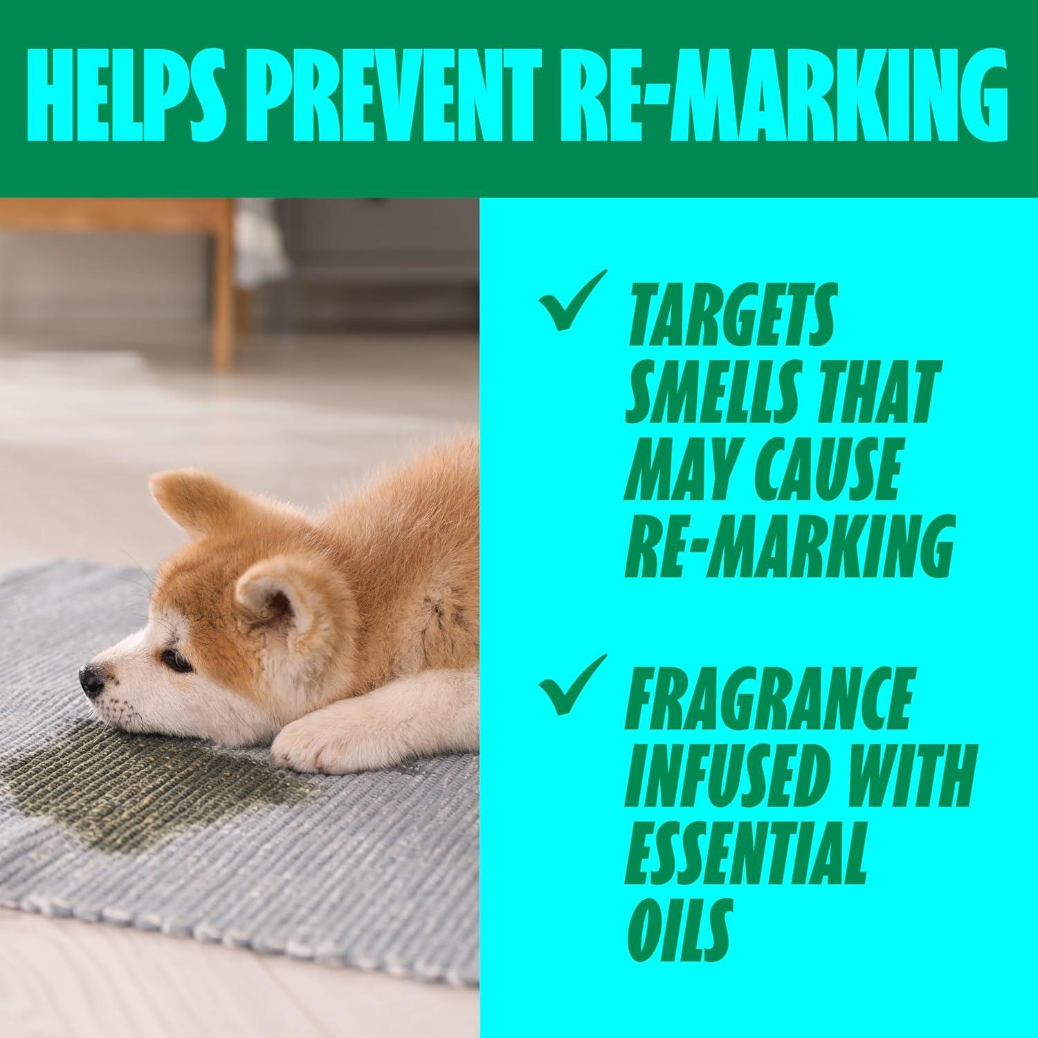 image:imageShout Pet Stain Remover ColorSafe Rug Upholstery amp Carpet Cleaner Solution for Dog amp Cat Urine Feces Vomit amp Mud Fights Odors amp Remarking FastActing Cleans in 5 Minutes or Less 243oz