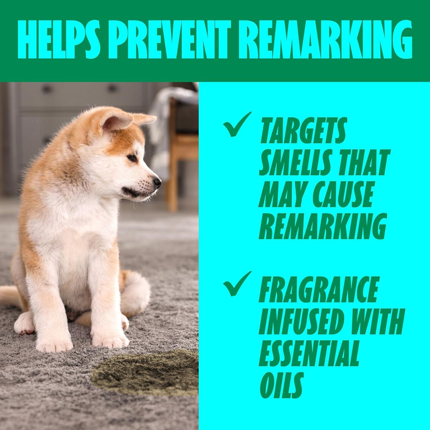 image:imageShout Pet Stain Remover Spray ColorSafe Multisurface amp Carpet Cleaner Solution for Dog amp Cat Urine Feces Vomit amp Mud Fights Odors amp Remarking FastActing Cleans in 5 Minutes or Less 22oz