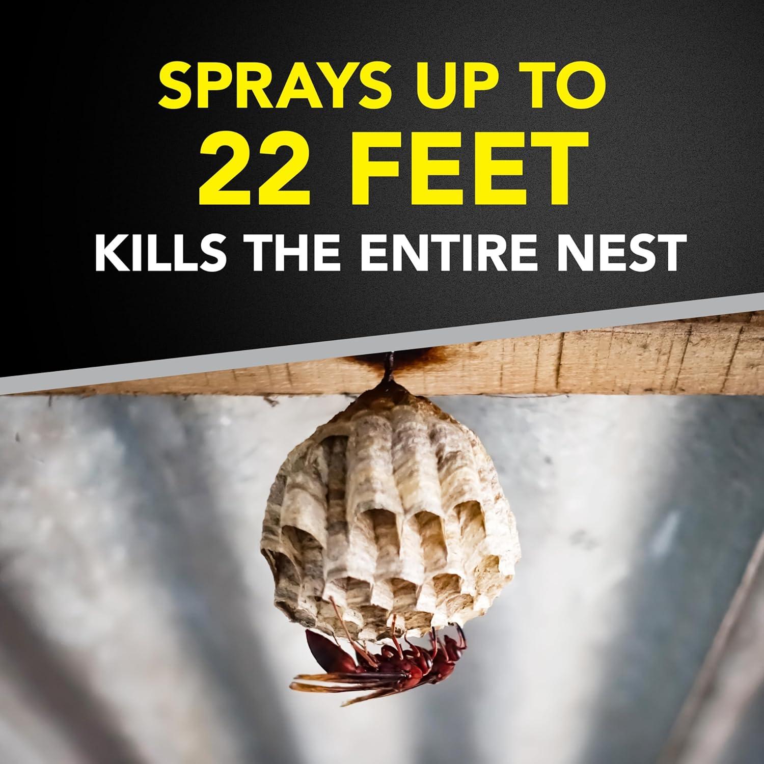 image:imageRaid Wasp amp Hornet Killer Spray Bug Killer Kills the Entire Nest 14 Oz 2 Count14 Fl Oz Pack of 12