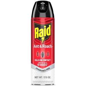 image:imageSJN697322  Raid Ant Roach Killer  FragranceFree175 Ounce Pack of 1